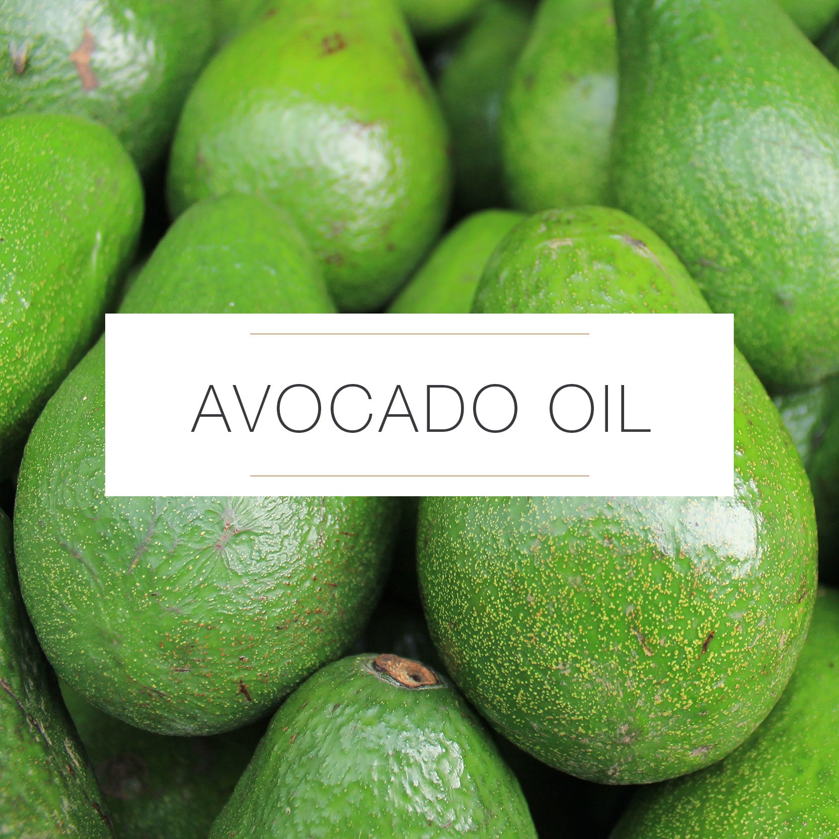 AVOCADO OIL SKIN NOVELS