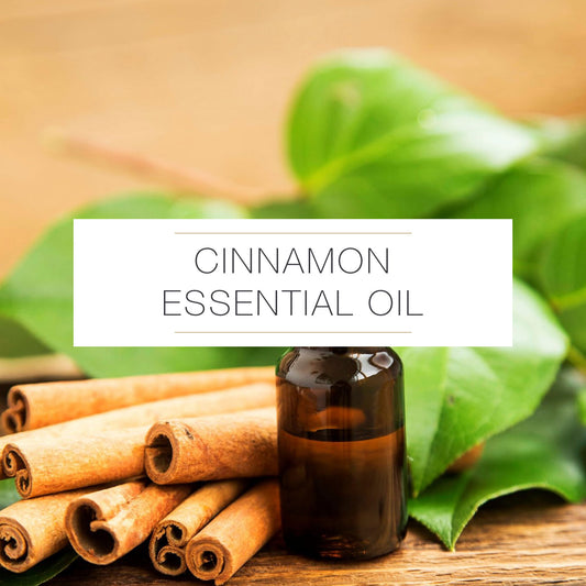 CINNAMON ESSENTIAL OIL