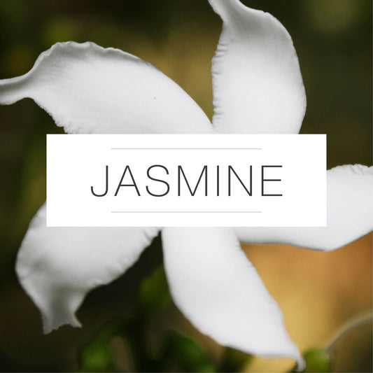 JASMINE ESSENTIAL OIL