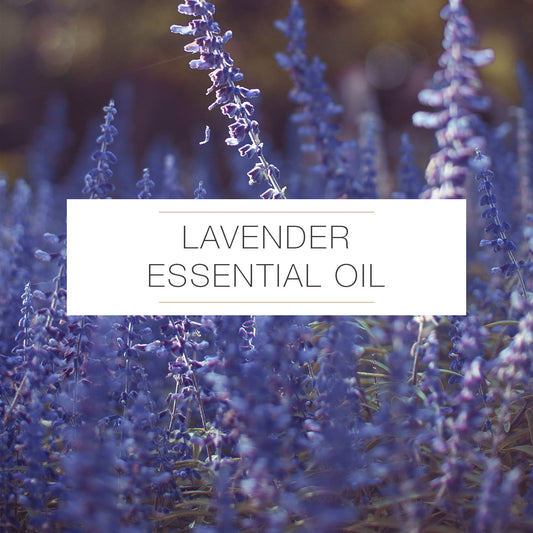 LAVENDER ESSENTIAL OIL