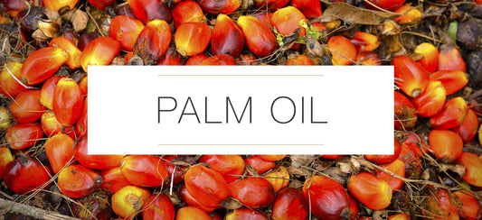 PALM OIL