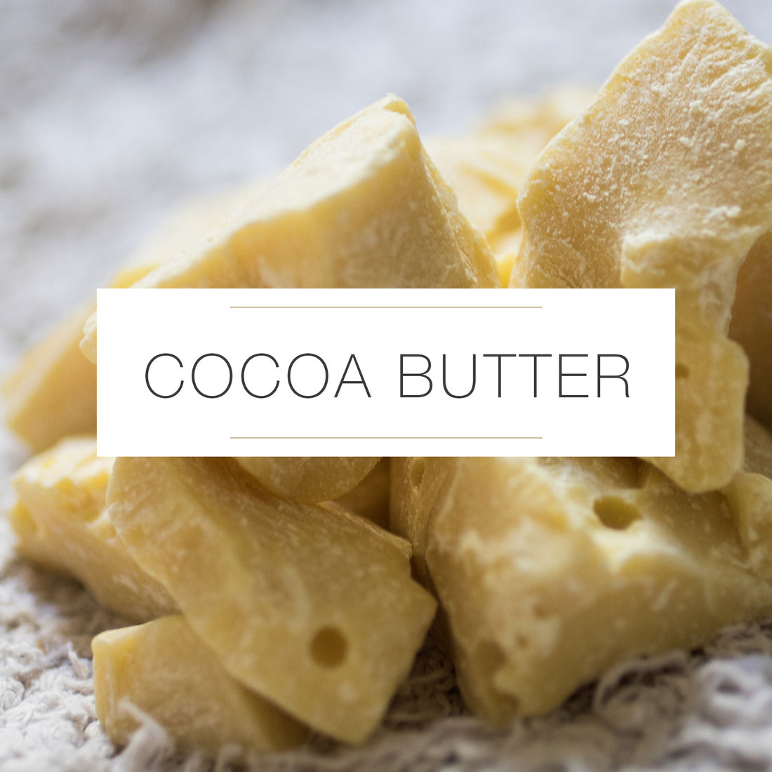 COCOA BUTTER